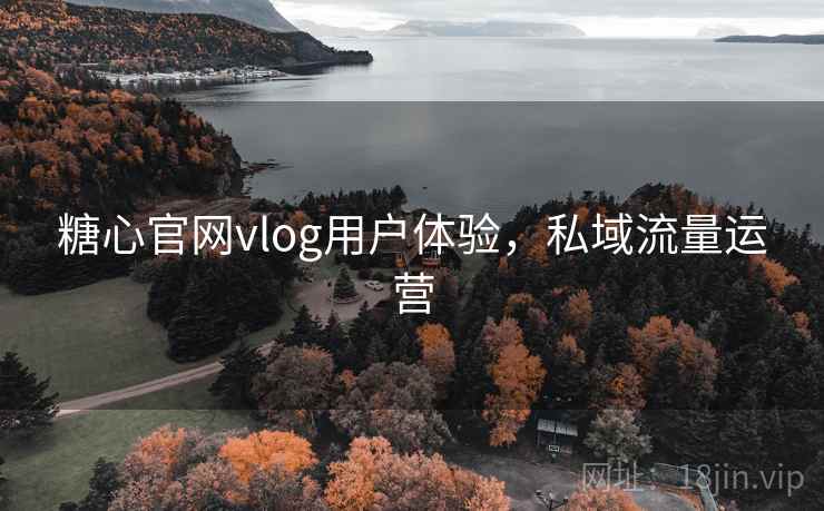 糖心官网vlog用户体验，私域流量运营