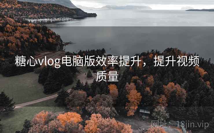糖心vlog电脑版效率提升，提升视频质量